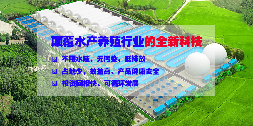 循環水養殖設備方案